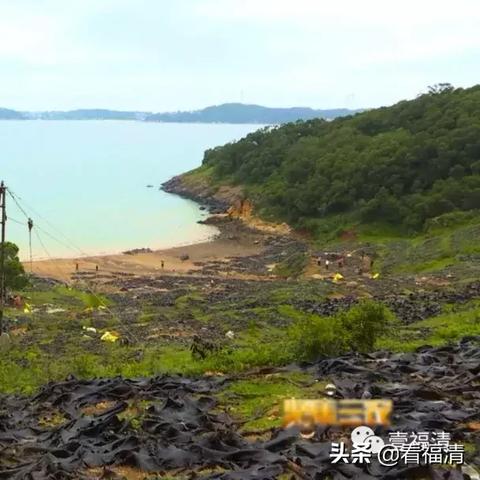 福清天气预报（福清天气预报15天当地天气查询表）