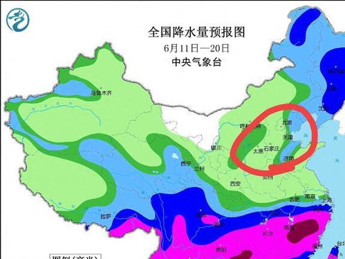 河南淮阳天气预报（河南淮阳天气预报一周）