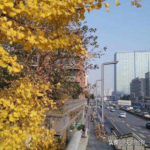 成都天气15天天气预报(成都未来十天的天气预报15天) 成都天气15天天气预报(成都未来十天的天气预报15天)