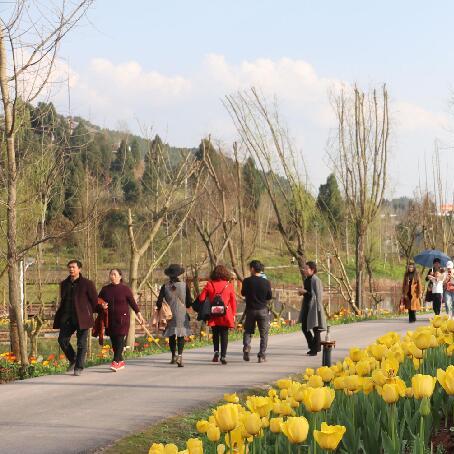 达州天气（达州天气预报15天查询结果）