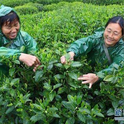 安徽将迎来大暴雨（安徽大暴雨预警）