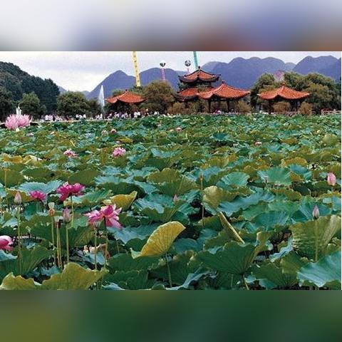 贵州兴义一年四季气温（贵州兴义一年四季气温如何）