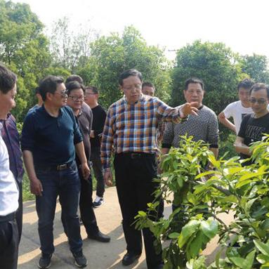长沙未来一周天气预报（长沙未来一周天气预报澧县天气情况）
