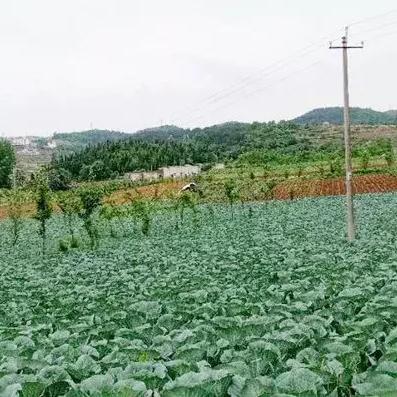 黔西南天气（黔西天气）