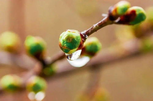 今天会下雨吗几点下雨（多久下雨）