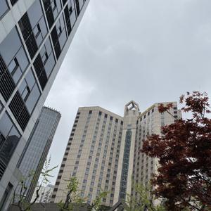 上海天气预报7天准确(上海天气预报7天准确率高吗) 上海天气预报7天准确(上海天气预报7天准确率高吗)
