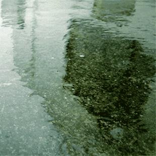 阳江天气预报(阳江天气预报每天都下雨是不是真的) 阳江天气预报(阳江天气预报每天都下雨是不是真的)