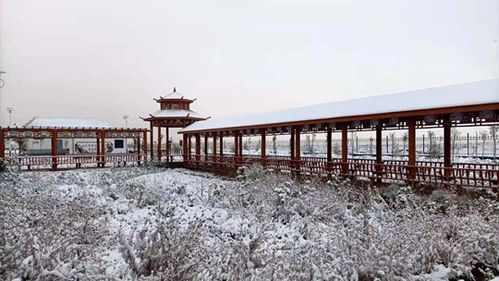 宁波天气预报7天（宁波天气预报7天气）