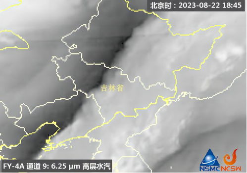 气象卫星云图实时查询（气象卫星云图实时查询官网）