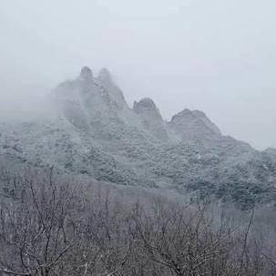 山东发布最新天气预报（山东最新天气情况）